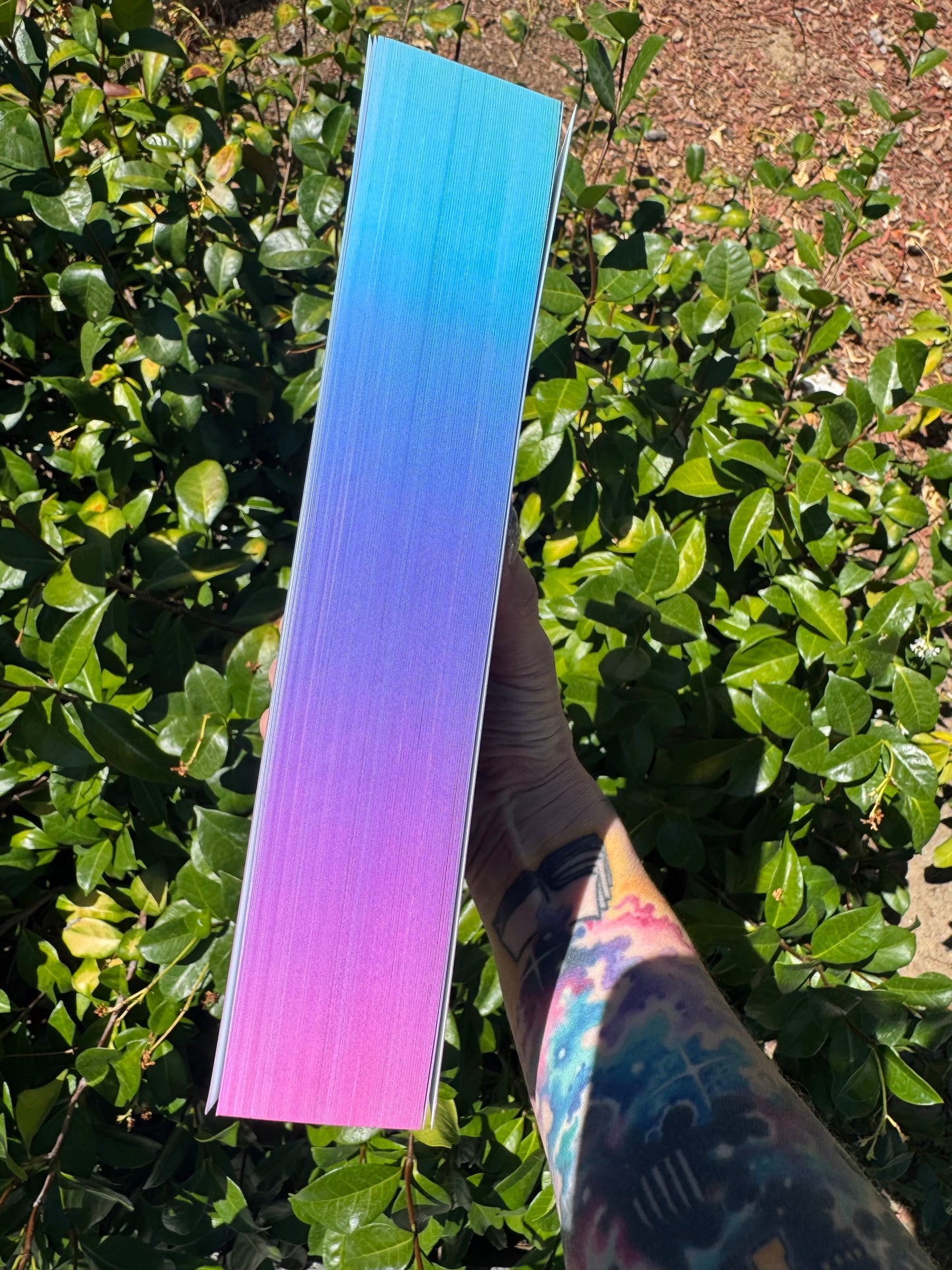 Grizzlies vs Eagles LIMITED EDITION (FOIL + SPRAYED EDGES PAPERBACK)