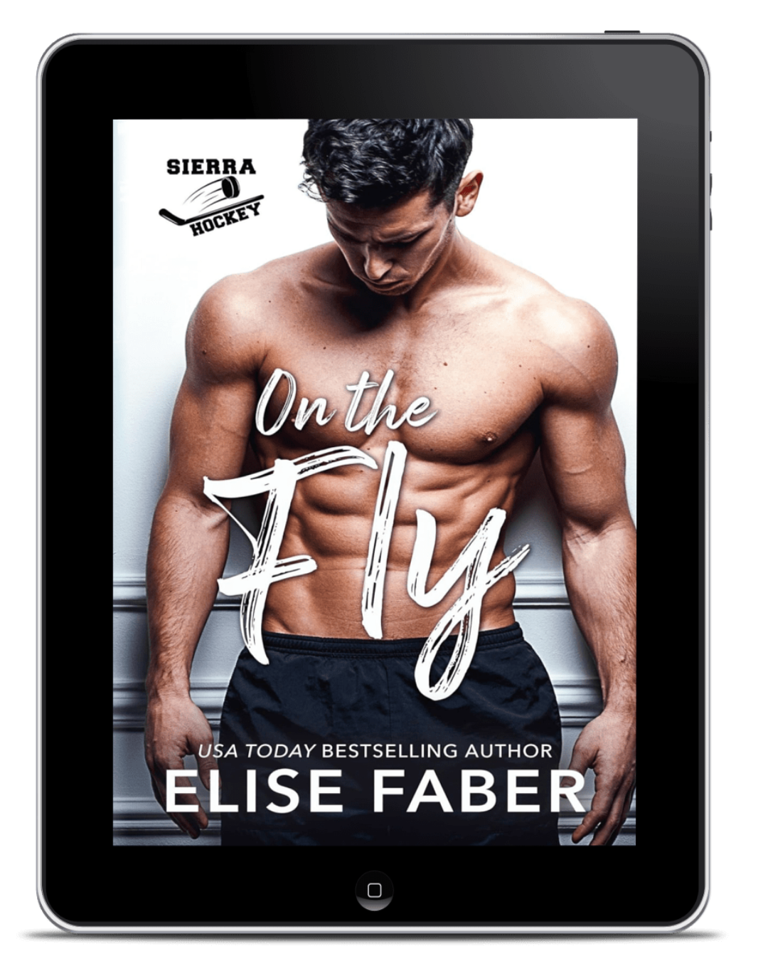 On the Fly (EBOOK)