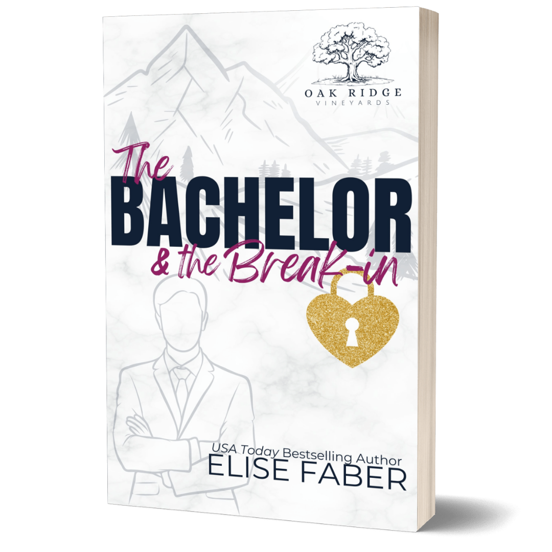 The Bachelor & the Break-in Paperback