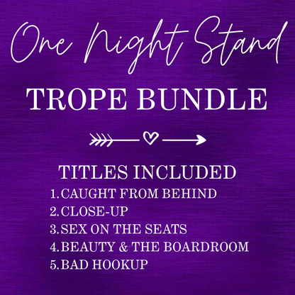 One Night Stand Bundle (EBOOK BUNDLE)