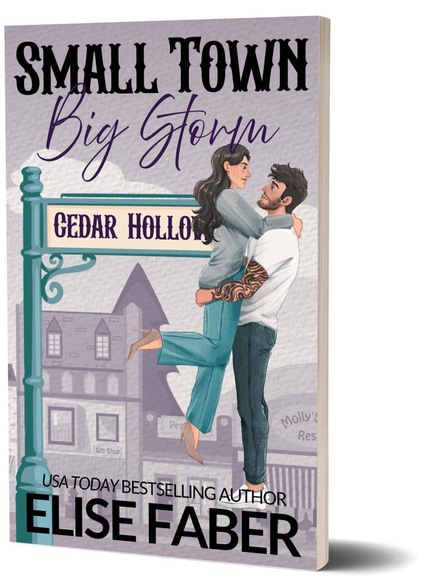 Small Town, Big Storm (PAPERBACK)